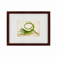 картина: green iguana, 1701 в Таганроге