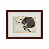 картина: signs of zodiac taurus, 1825 в Таганроге