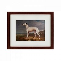 картина: portrait of a greyhound, 1744 в Таганроге