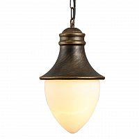 уличный подвесной светильник arte lamp vienna a1317so-1bn в Таганроге