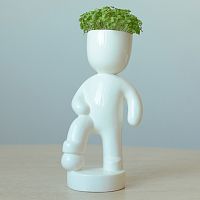 набор для выращивания eco футболист в Таганроге