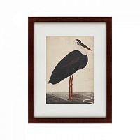 картина: black stork in a landscape, индия, 1780 в Таганроге