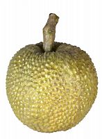 декор durian в Таганроге