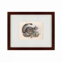картина: the squirrel, 1879 в Таганроге