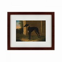 картина: portrait of a greyhound called pompon, 1746 в Таганроге