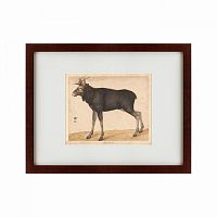 картина: moose, 1560 в Таганроге