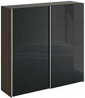 шкаф-купе slide 1700 черный в Таганроге