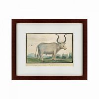 картина: cape ox, 1778 в Таганроге