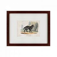 картина: a caracal or lynx, 1830 в Таганроге