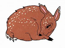 ковер шерстяной олененок the deer в Таганроге
