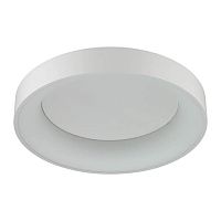 потолочный светодиодный светильник odeon light sole 4062/50cl в Таганроге