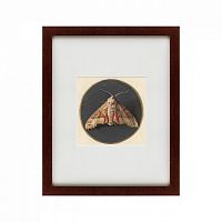 картина: owlet moth, 1700 в Таганроге